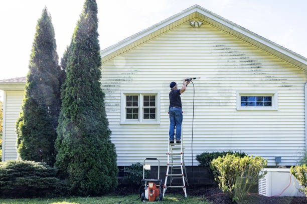Best Soft Washing  in Mcclure, PA